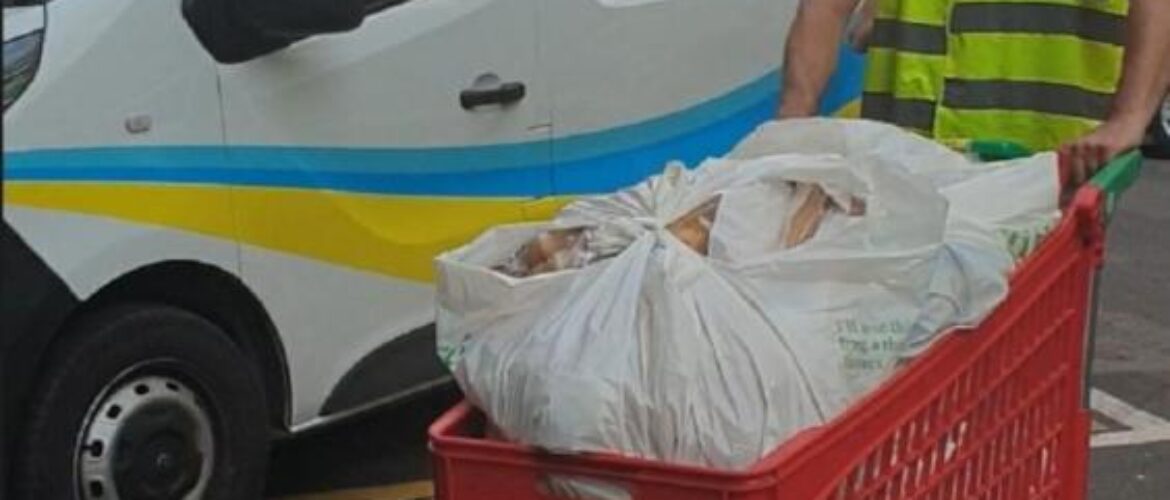 Asociación Edad Dorada Mensajeros de la Paz. Comunidad Valenciana. 2024